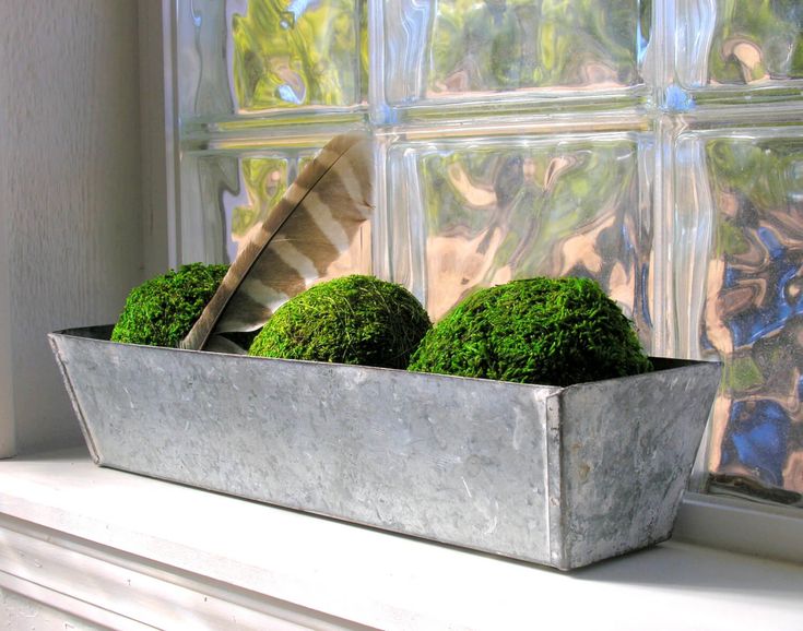 Image of a metal planter with three green bushes and a feather inside of it